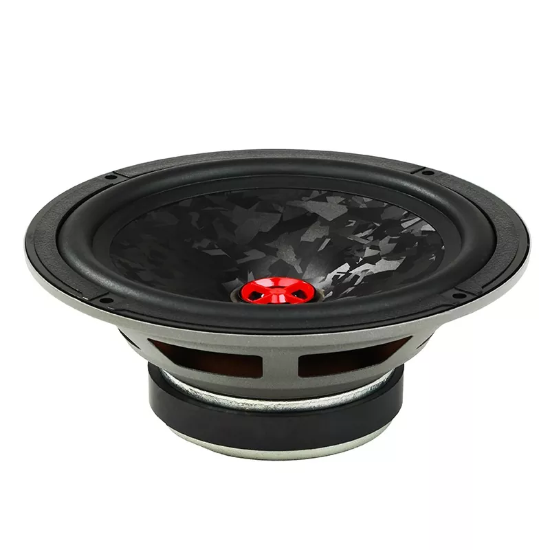 Presidente del coche de los PP 6.5-inch